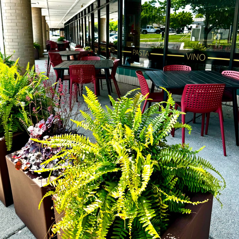 Outdoor patio of GOOMAH Italian restaurant with red chairs, dark tables, and lush green plants.